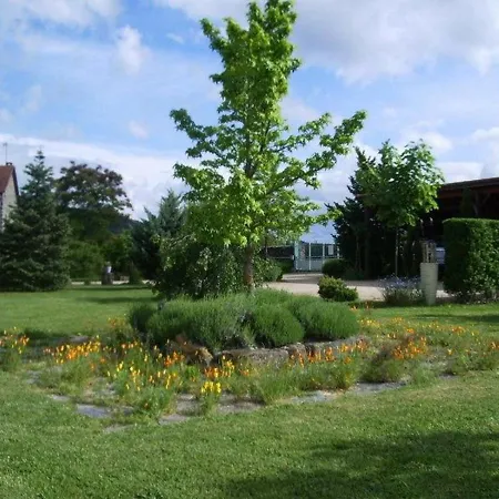 Familial Avec Terrasse Panoramique Et Cheminee, Ideal Pour Randonnees Pres De - Fr-1-582-355
